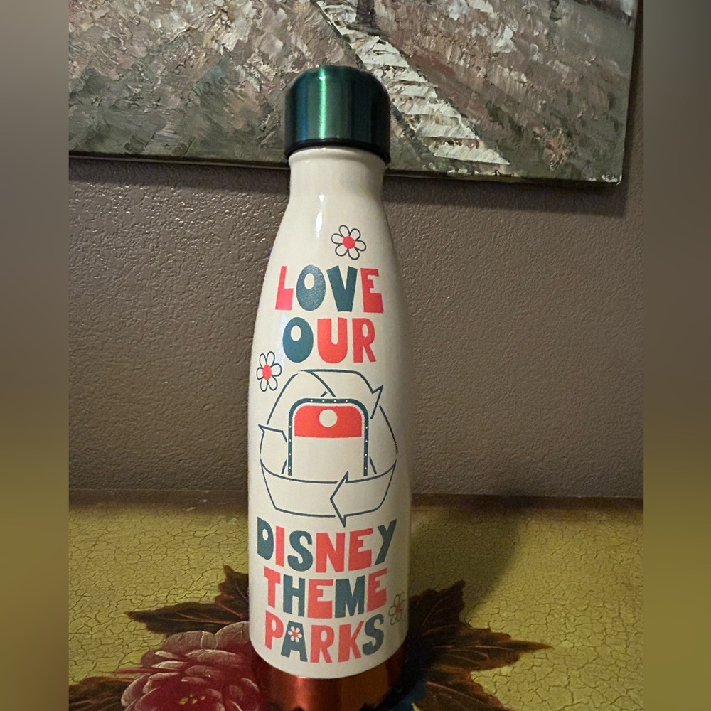 Disney Parks Stainless Steel Water Bottle 17 oz capacity